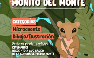 Convocatoria Participativa «Las Aventuras Del Monito Del Monte»